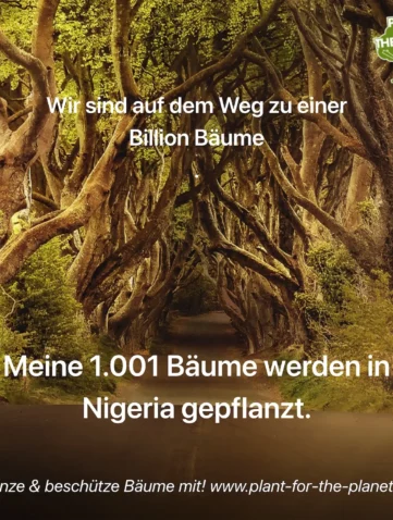 Niger Delta Mangrove Restoration Project